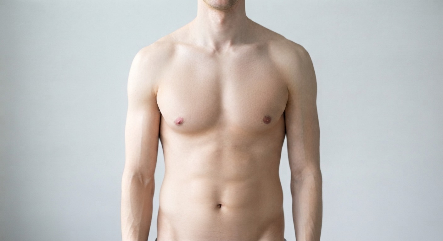Pecho, abdomen y hombros